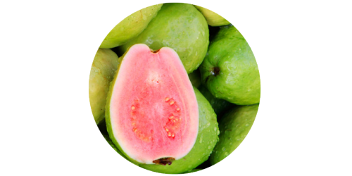 Guava (TPA)